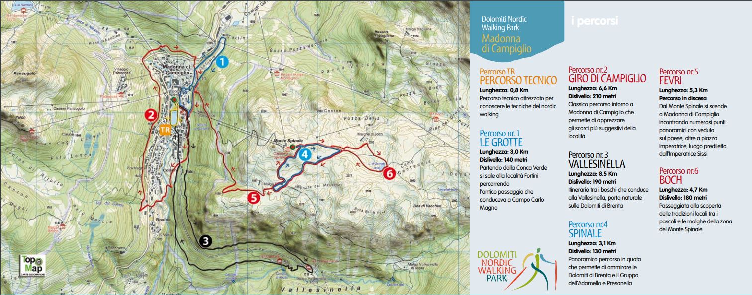 Nordic_Walking_1.JPG